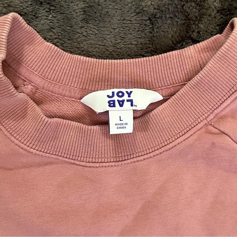 JoyLab Cropped Raglan Crewneck Sweatshirt - Picture 2 of 8